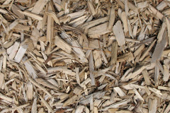 biomass boilers Thickwood